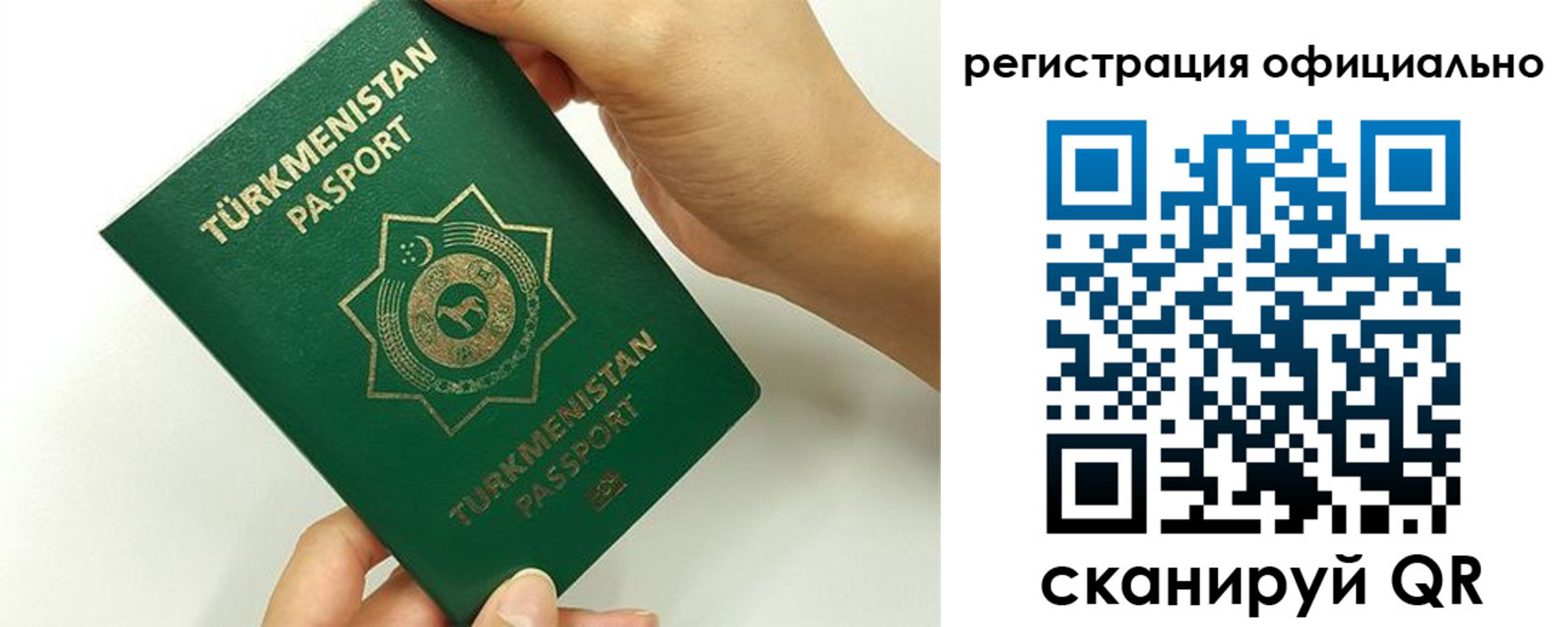 прописка поиск в Могочи